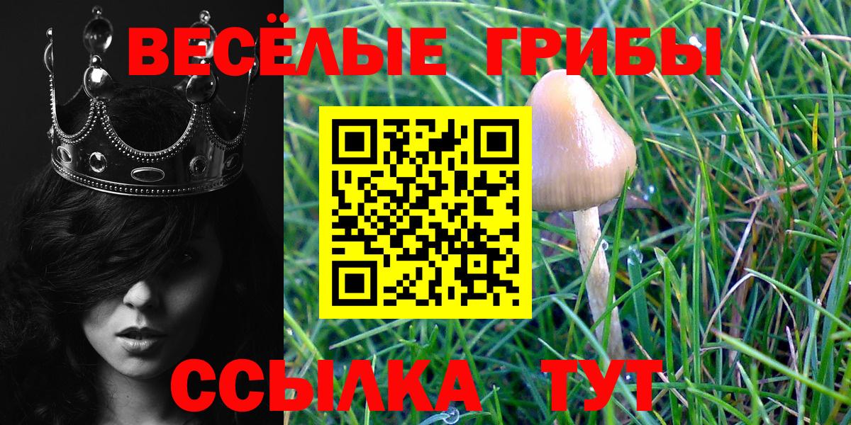 Галлюциногенные грибы Magic Shrooms  Псилоцибиновые грибы MAGIC MUSHROOMS  Улан-Удэ  Вход с VPN 