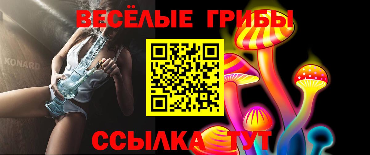 Псилоцибиновые грибы Cubensis Улан-Удэ